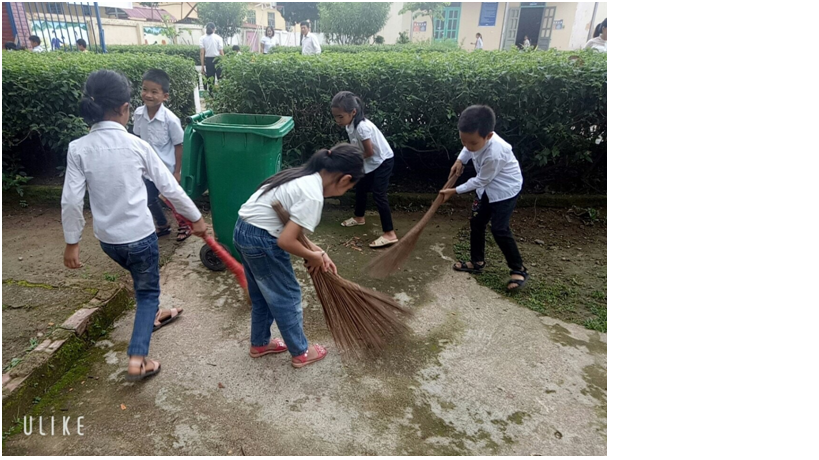 Các hoạt động hưởng ứng ngày Môi trường Thế giới; Ngày quốc tế Đa dạng sinh học; Ngày Đại dương thế giới và Tháng hành động vì môi trường năm 2020